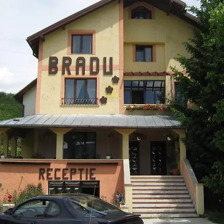 Guest house Pensiunea Bradu 3*