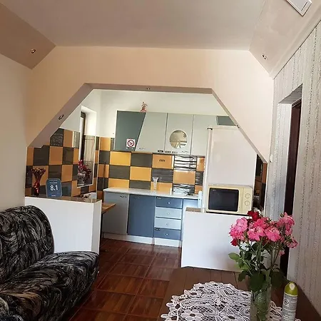 Pensiunea Bradu Guest house