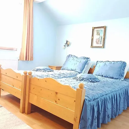 Guest house Pensiunea Bradu Piatra Neamt