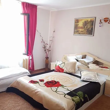 Pensiunea Bradu Guest house