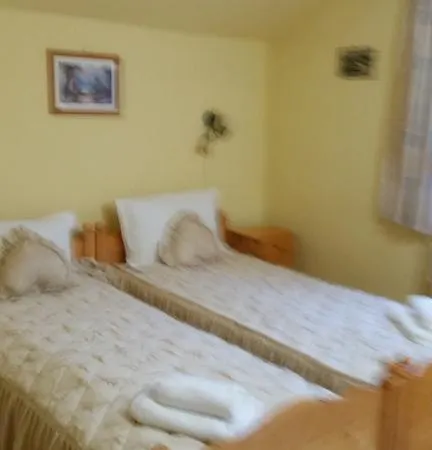 Guest house Pensiunea Bradu