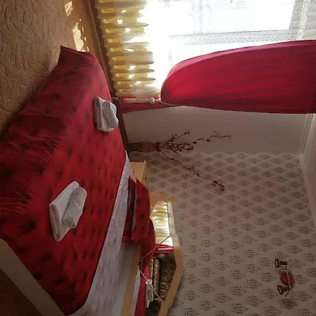 Pensiunea Bradu Guest house